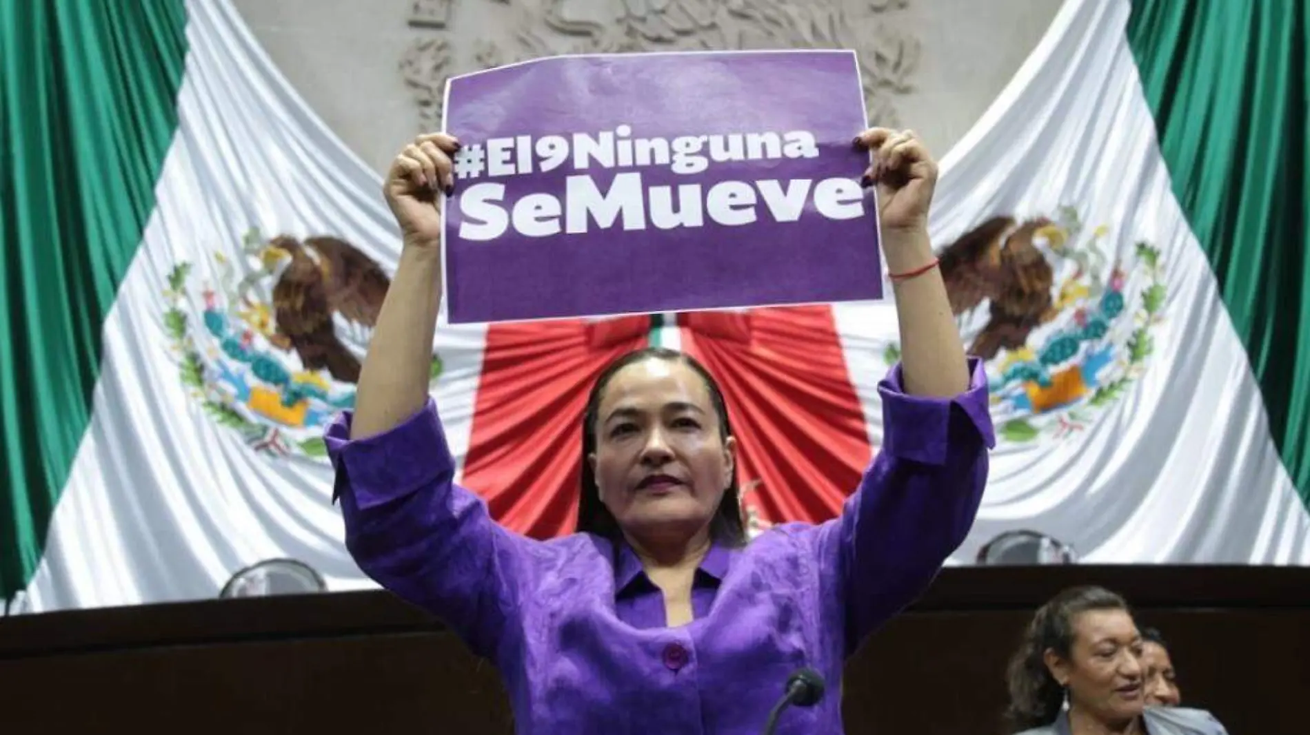 Diputada Verónica Juárez Piña